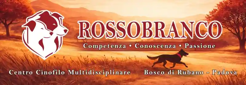 Rossobranco – un luogo dove le attività cinofile diventano esperienza, formazione e relazione.
