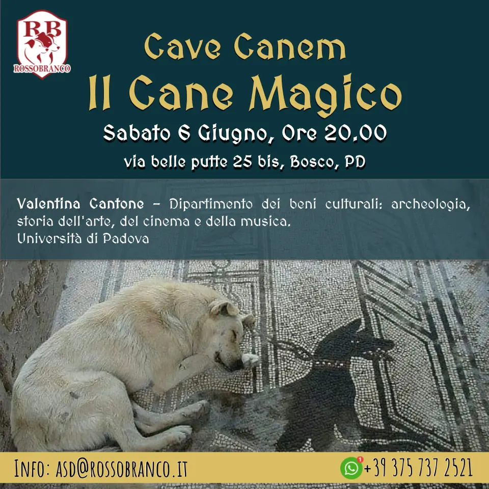 Cave Canem - Il Cane Magico