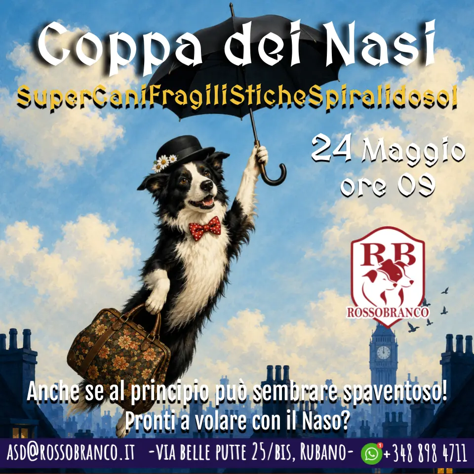 Coppa dei Nasi