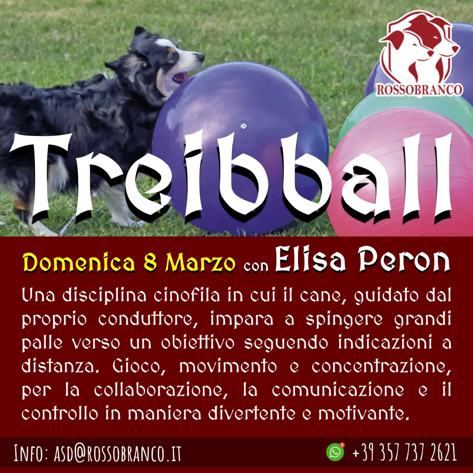 Treibball con Elisa Peron