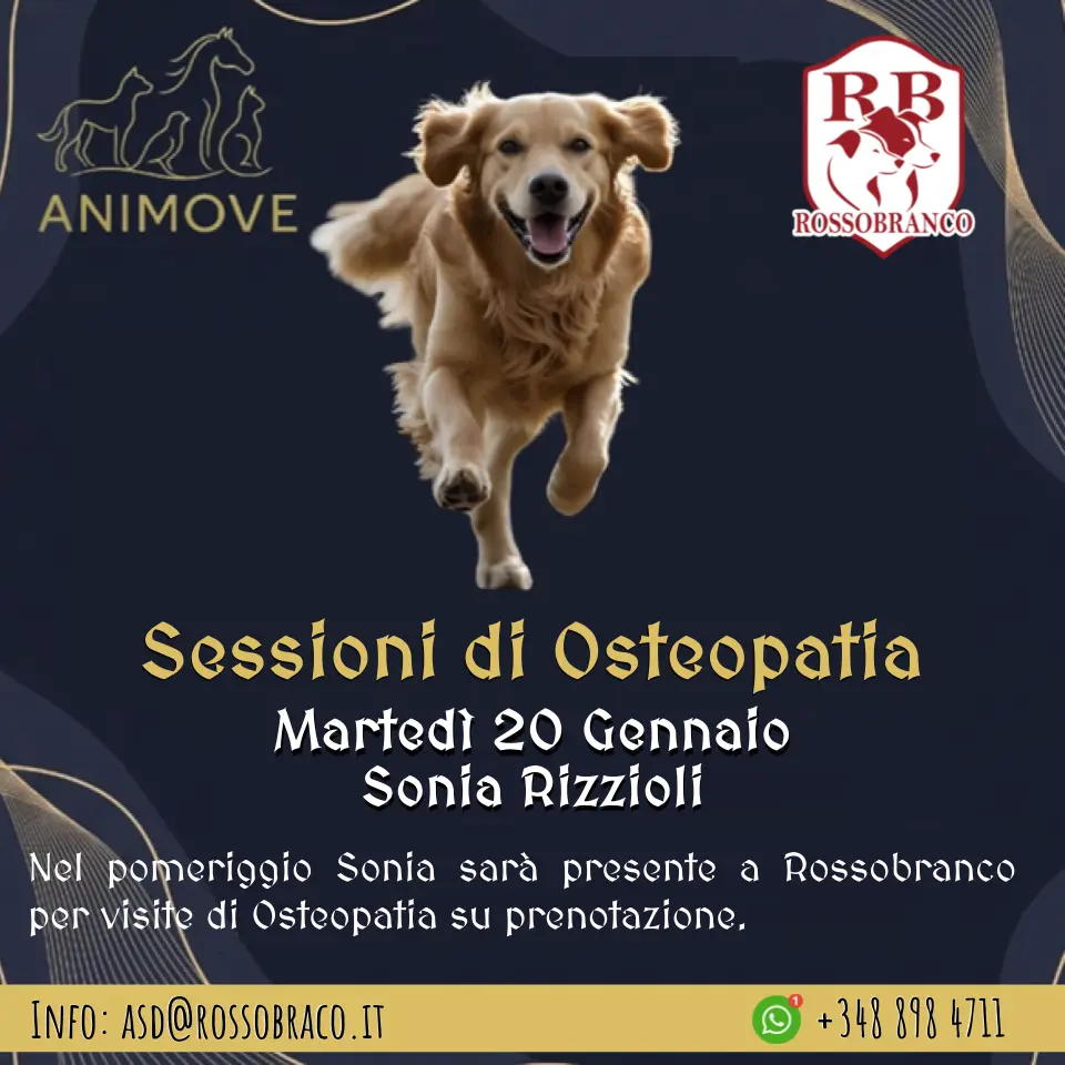 Sessioni di Osteopatia