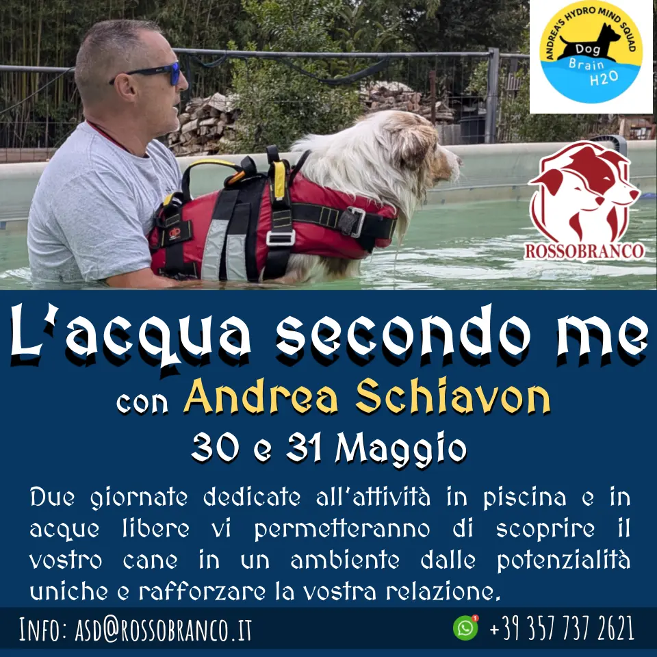 L'Acquaticità con Andrea Schiavon