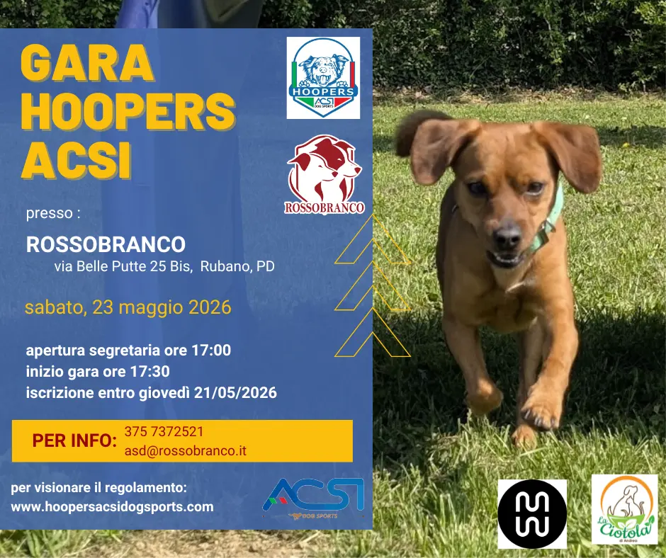 Gara Hoopers Acsi