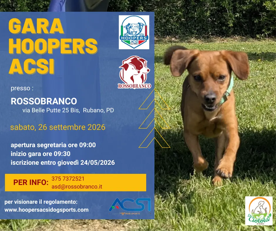 Gara Hoopers Acsi - Rossobranco