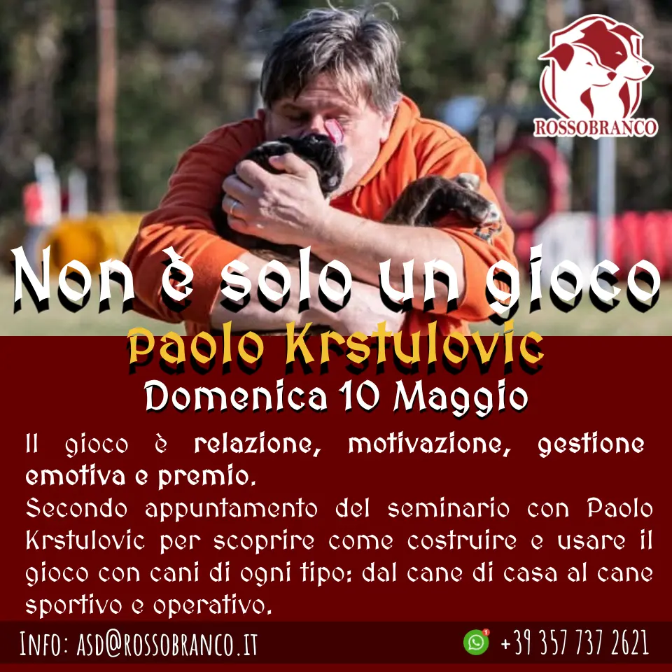 Non è solo un Gioco con Paolo Krstulovic