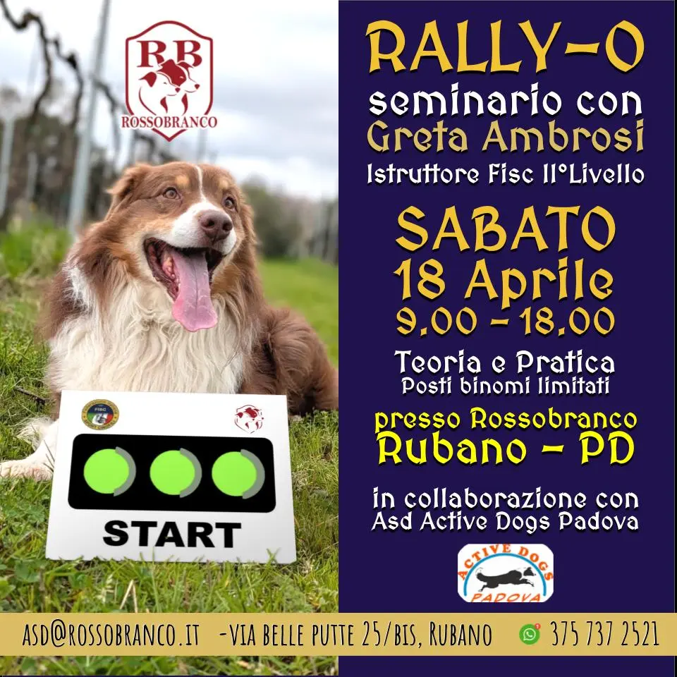 Giornata Introduttiva alla Rally-O