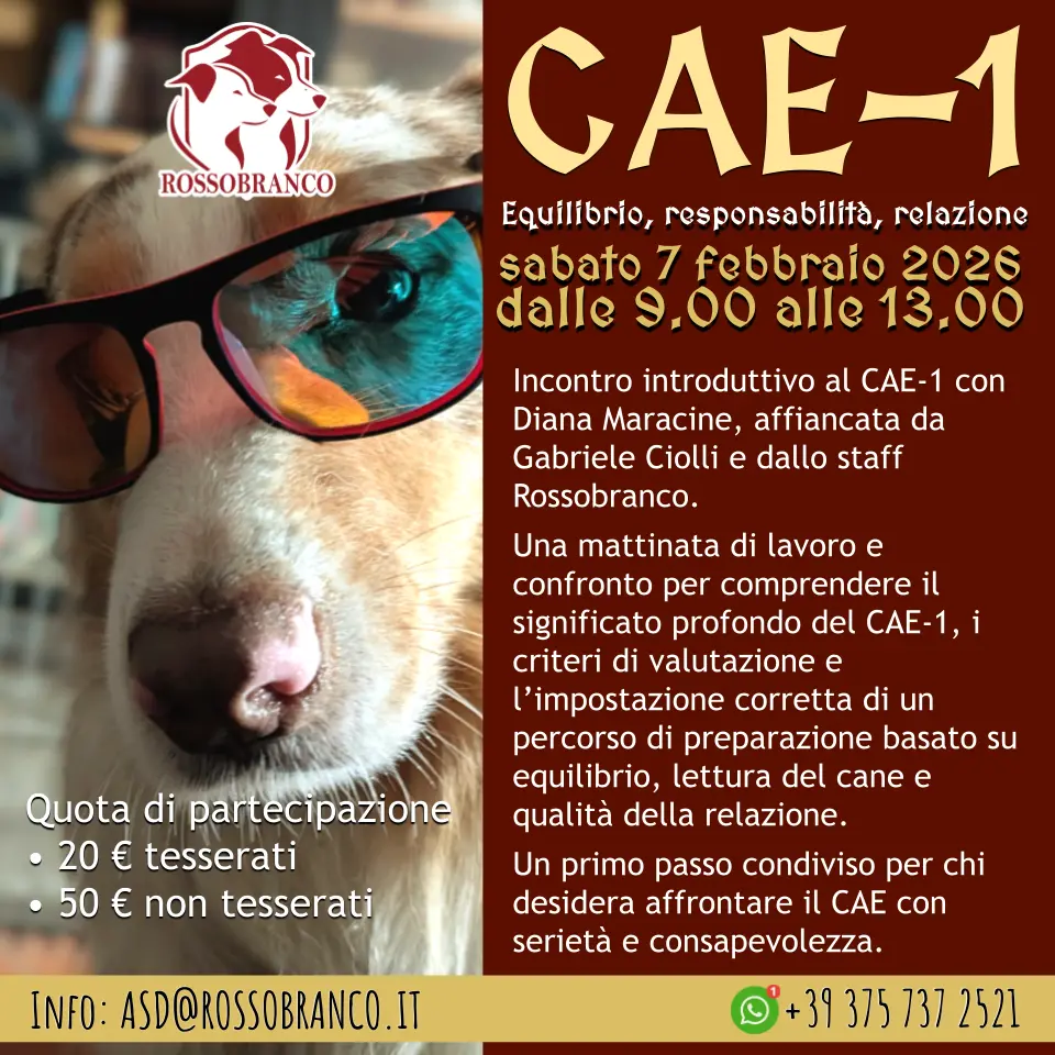 Inizio percorso CAE-1