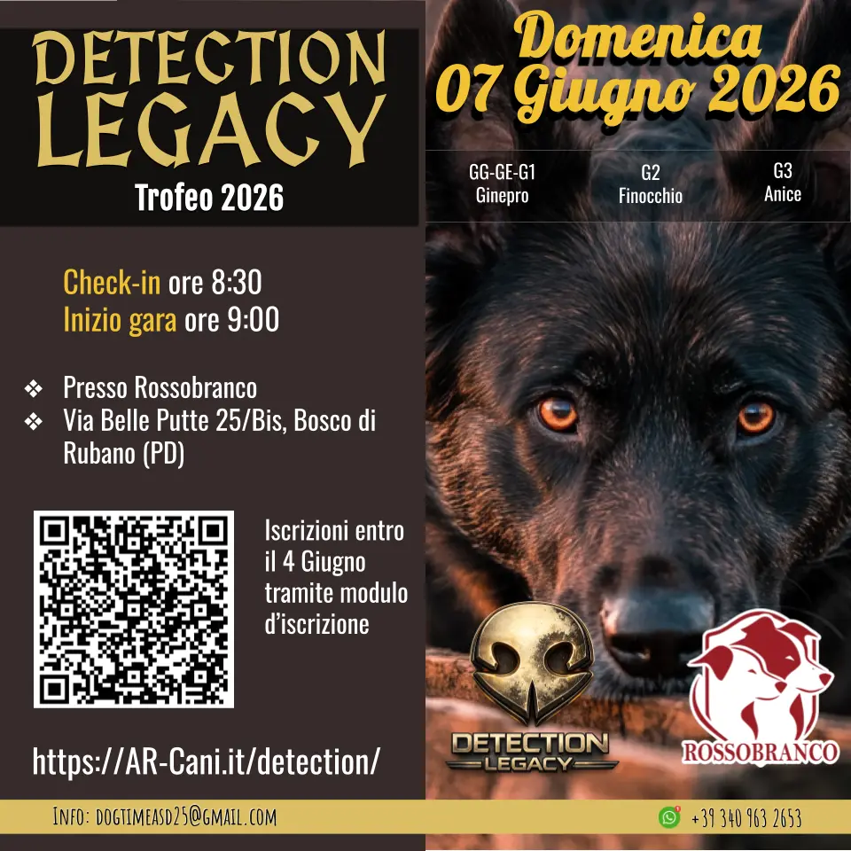 Gara Detection Legacy